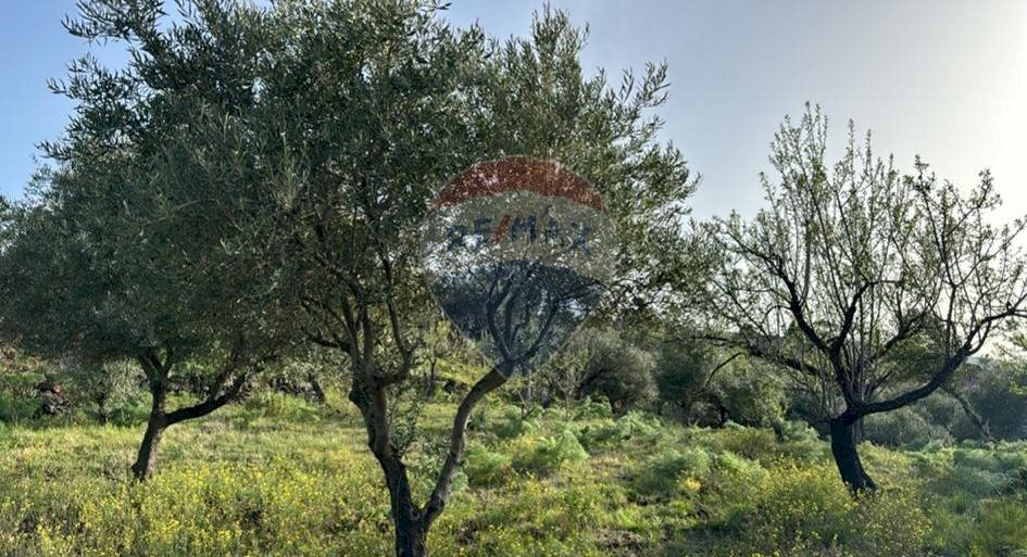 Giardino - Terreno agricolo Pirao, Randazzo - foto 2