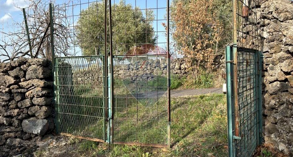 Giardino - Terreno agricolo Pirao, Randazzo - foto 3