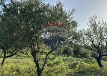 Giardino - Agricultural land Pirao, Randazzo - photo 2