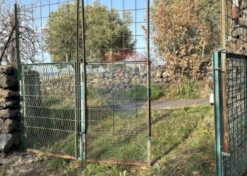 Giardino - Agricultural land Pirao, Randazzo - photo 3