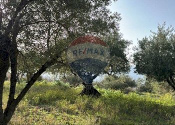 Giardino - Agricultural land Pirao, Randazzo - photo 5