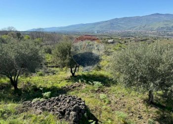 Vista delle montagne - Agricultural land Pirao, Randazzo - photo 6