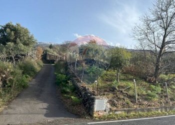 Giardino - Agricultural land Pirao, Randazzo - photo 7