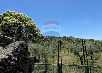 Vista delle montagne - Agricultural land Pirao, Randazzo - photo 10