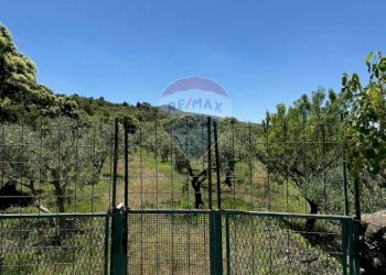 Vista delle montagne - Agricultural land Pirao, Randazzo - photo 11