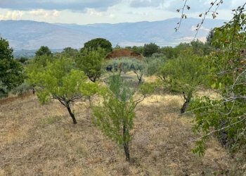 Vista delle montagne - Agricultural land Pirao, Randazzo - photo 13