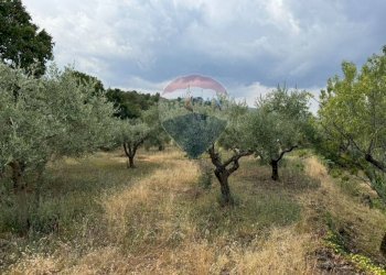 Giardino - Agricultural land Pirao, Randazzo - photo 15