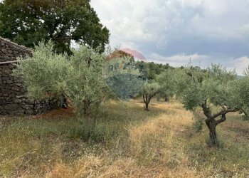 Giardino - Agricultural land Pirao, Randazzo - photo 16