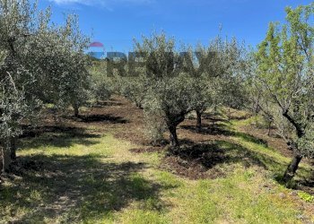 Giardino - Terreno agricolo Pirao, Randazzo - foto 1