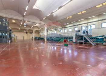 Palestra - Capannone Leonardo coop
 
SNC, Mineo - foto 14