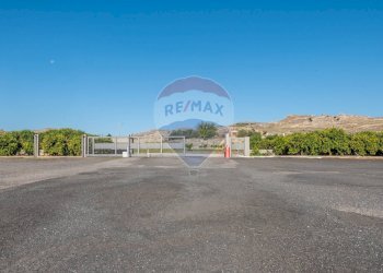 Edificio all\'aperto - Capannone Leonardo coop
 
SNC, Mineo - foto 25