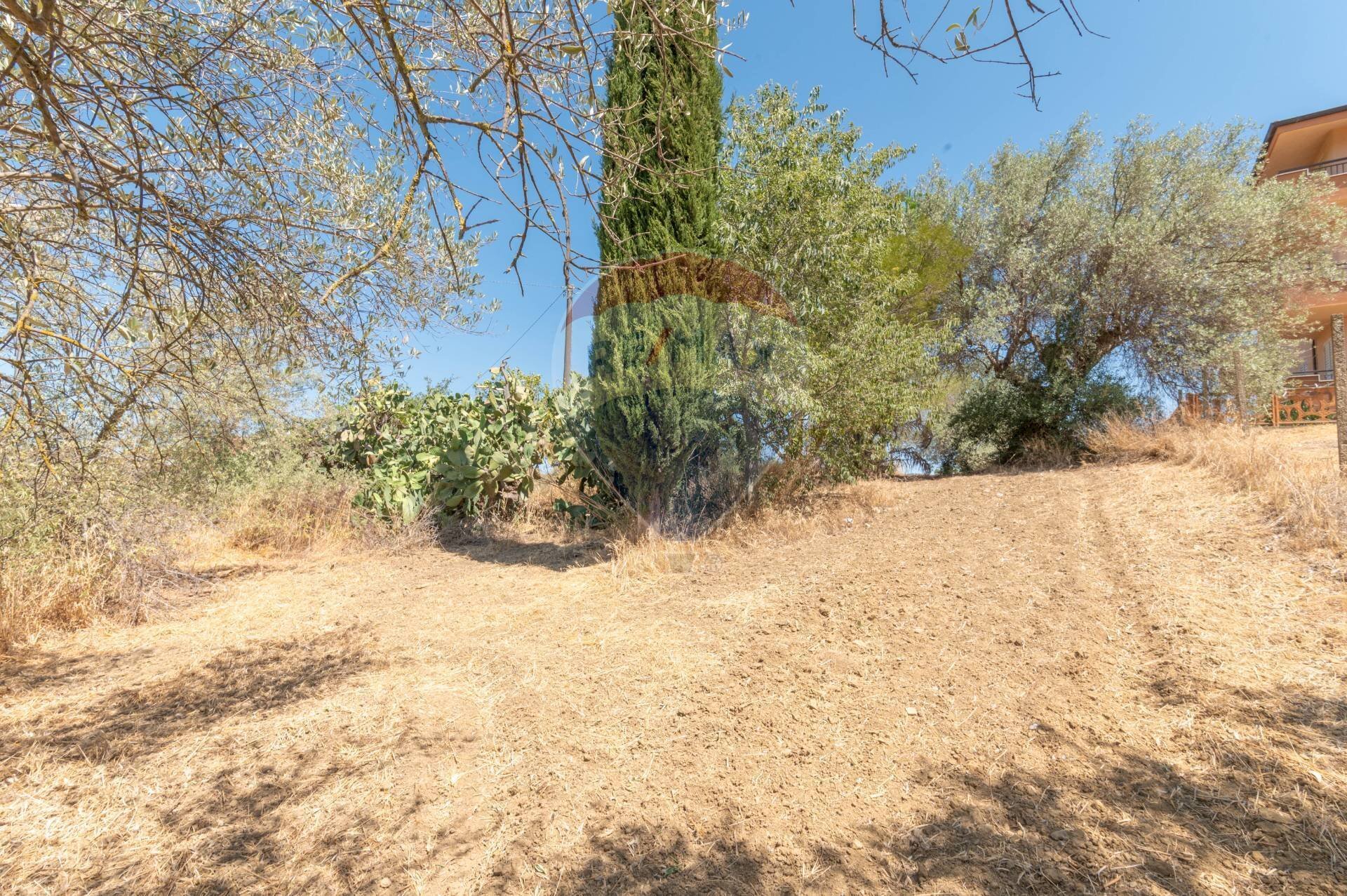 Giardino - Terreno edificabile Via Pio La Torre
snc, Mirabella Imbaccari - foto 2