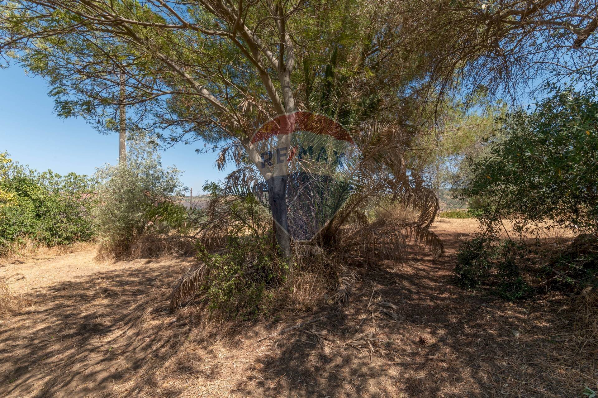 Giardino - Terreno edificabile Via Pio La Torre
snc, Mirabella Imbaccari - foto 3