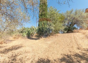 Giardino - Terreno edificabile Via Pio La Torre
 
snc, Mirabella Imbaccari - foto 2