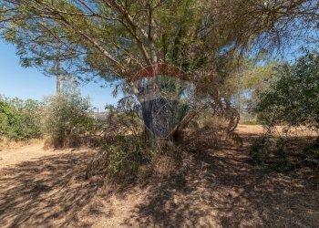 Giardino - Terreno edificabile Via Pio La Torre
 
snc, Mirabella Imbaccari - foto 3