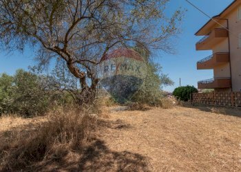 Giardino - Terreno edificabile Via Pio La Torre
 
snc, Mirabella Imbaccari - foto 4
