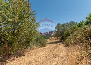 Giardino - Terreno edificabile Via Pio La Torre
 
snc, Mirabella Imbaccari - foto 5