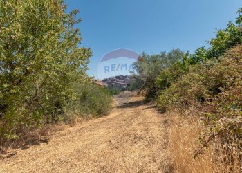 Giardino - Terreno edificabile Via Pio La Torre
 
snc, Mirabella Imbaccari - foto 10