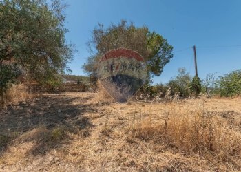 Giardino - Terreno edificabile Via Pio La Torre
 
snc, Mirabella Imbaccari - foto 11