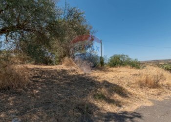 Giardino - Terreno edificabile Via Pio La Torre
 
snc, Mirabella Imbaccari - foto 12