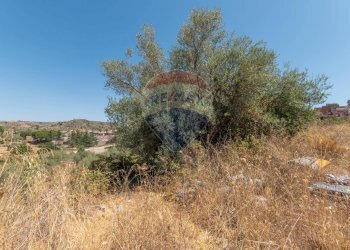 Vista delle montagne - Terreno edificabile Via Pio La Torre
 
snc, Mirabella Imbaccari - foto 13
