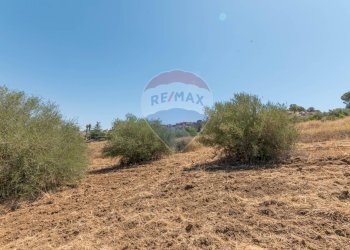 Giardino - Terreno edificabile Via Pio La Torre
 
snc, Mirabella Imbaccari - foto 19