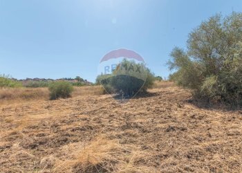 Vista delle montagne - Terreno edificabile Via Pio La Torre
 
snc, Mirabella Imbaccari - foto 24