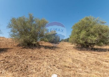 Giardino - Terreno edificabile Via Pio La Torre
 
snc, Mirabella Imbaccari - foto 25