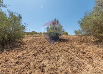 Vista delle montagne - Terreno edificabile Via Pio La Torre
 
snc, Mirabella Imbaccari - foto 26