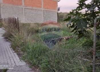 Giardino - Terreno edificabile Via Lucania
snc, Paterno - foto 4