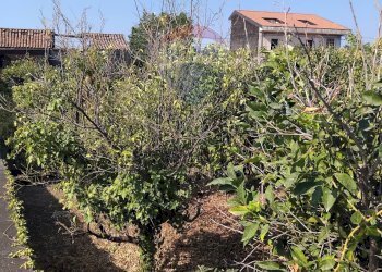 Giardino - Terreno edificabile Via XXI Aprile
27, Acireale - foto 2