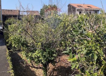 Giardino - Terreno edificabile Via XXI Aprile
27, Acireale - foto 5