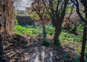 Giardino - Terreno edificabile VICO BALSAMO
 
11, San Gregorio di Catania - foto 15