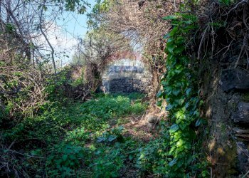 Giardino - Terreno edificabile VICO BALSAMO
 
11, San Gregorio di Catania - foto 16