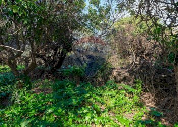 Giardino - Terreno edificabile VICO BALSAMO
 
11, San Gregorio di Catania - foto 18