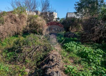 Giardino - Terreno edificabile VICO BALSAMO
 
11, San Gregorio di Catania - foto 25