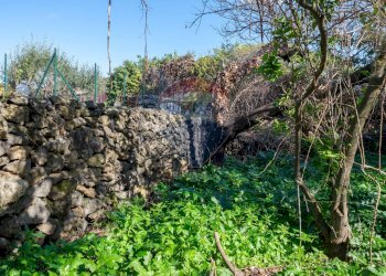 Giardino - Terreno edificabile VICO BALSAMO
 
11, San Gregorio di Catania - foto 28