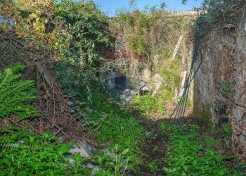 Giardino - Terreno edificabile Vico Balsamo
 
11, San Gregorio di Catania - foto 8