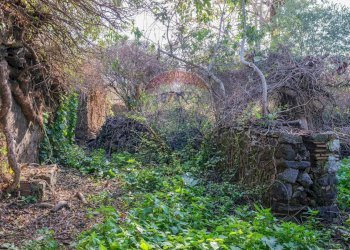 Giardino - Terreno edificabile Vico Balsamo
 
11, San Gregorio di Catania - foto 13