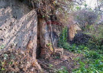 Giardino - Terreno edificabile Vico Balsamo
 
11, San Gregorio di Catania - foto 14