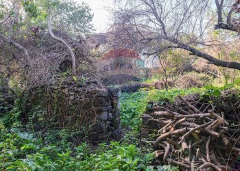 Giardino - Terreno edificabile Vico Balsamo
 
11, San Gregorio di Catania - foto 15