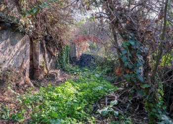 Giardino - Terreno edificabile Vico Balsamo
 
11, San Gregorio di Catania - foto 16