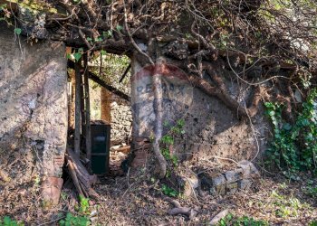 Giardino - Terreno edificabile Vico Balsamo
 
11, San Gregorio di Catania - foto 17