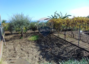 Giardino - Villa VIA FILIPPO MEDA
 
77, Giarre - foto 102