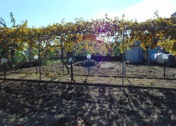 Giardino - Villa VIA FILIPPO MEDA
 
77, Giarre - foto 103