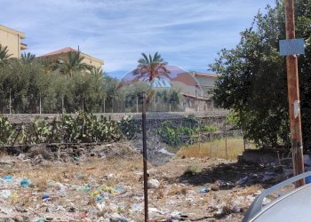 Giardino - Terreno edificabile corso sicilia
129, Paterno - foto 3