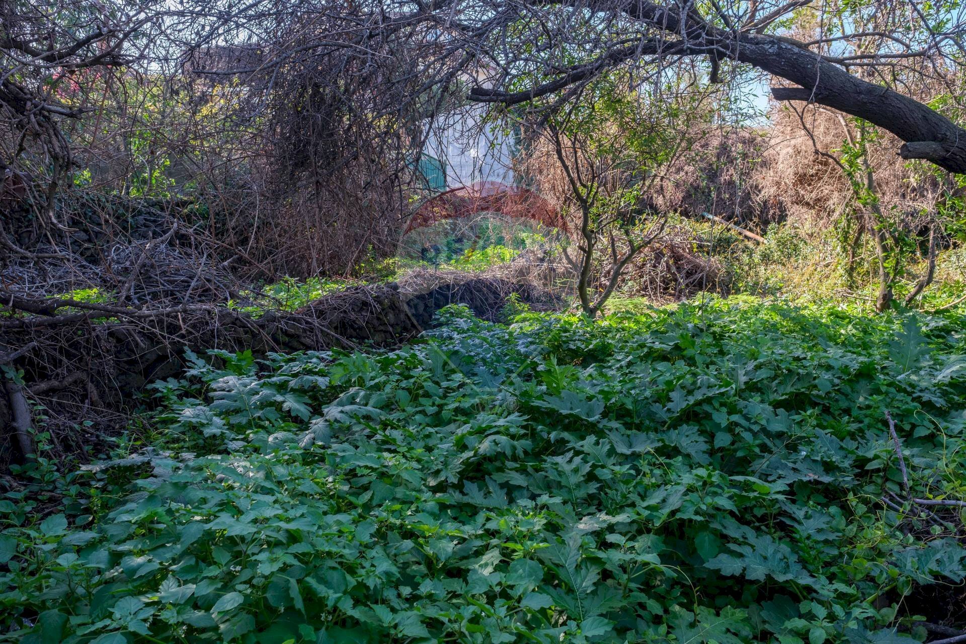 Giardino - Terreno edificabile Vico Balsamo
 
12, San Gregorio di Catania - foto 2