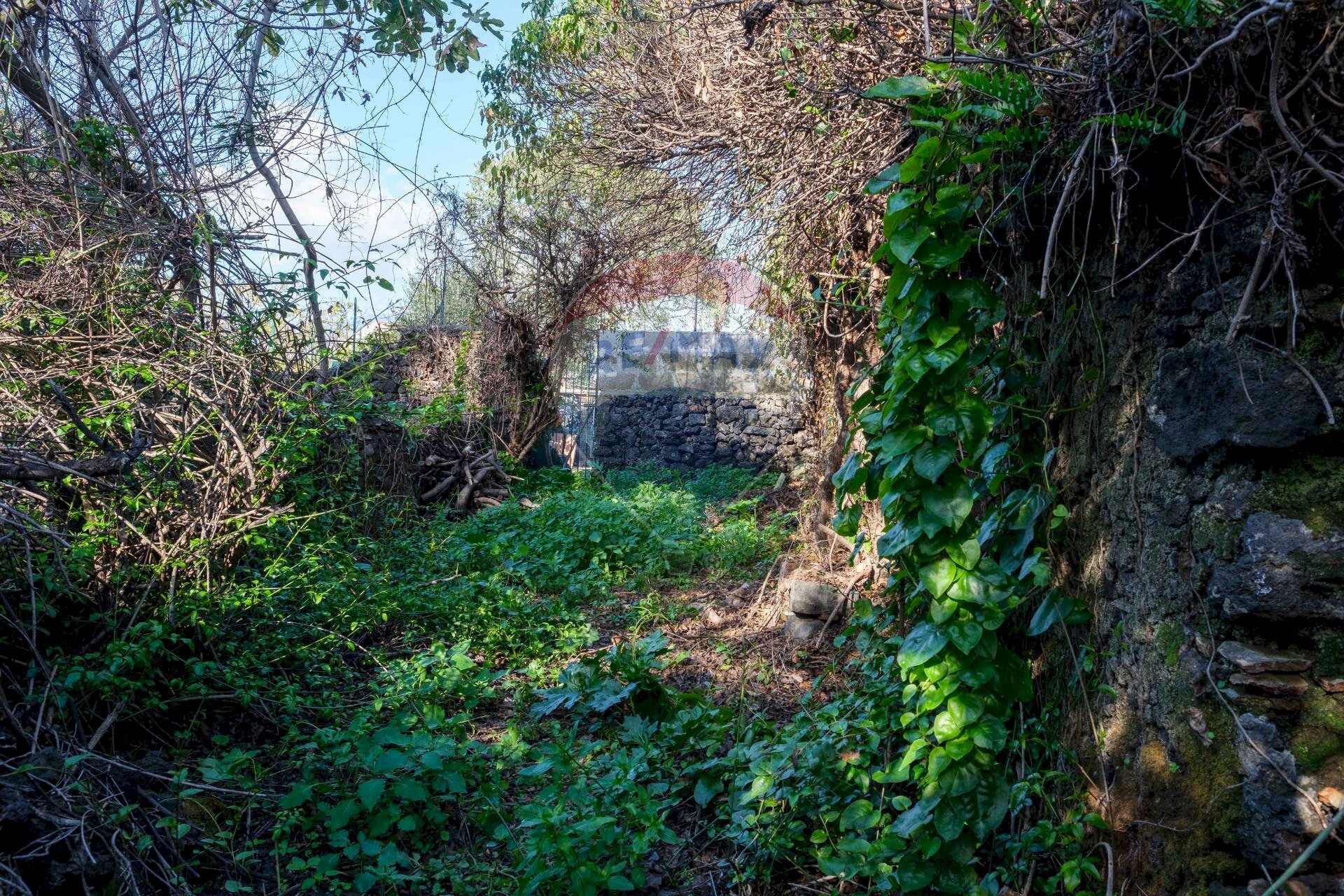 Giardino - Terreno edificabile Vico Balsamo
 
12, San Gregorio di Catania - foto 3