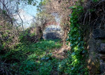 Giardino - Terreno edificabile Vico Balsamo
 
12, San Gregorio di Catania - foto 3