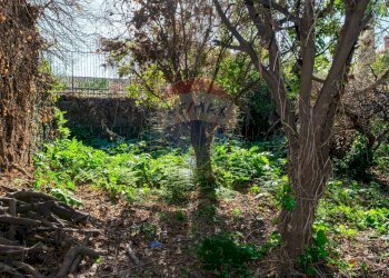 Giardino - Terreno edificabile Vico Balsamo
 
12, San Gregorio di Catania - foto 4